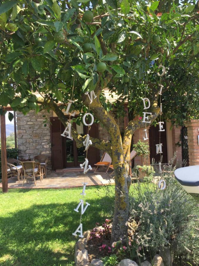 B&B La Nonnina Del Cilento Casal Velino Exterior foto